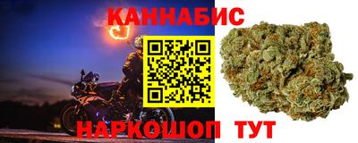 jwh Шебекино