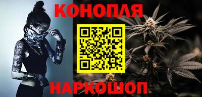 гидра Шахты