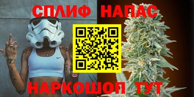 гидра Шахты