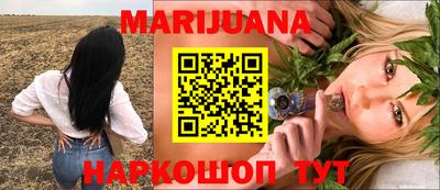 гидра Шахты