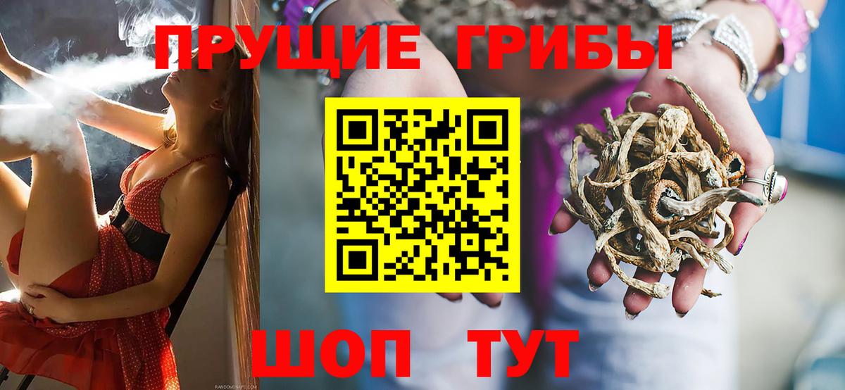 Псилоцибиновые грибы прущие грибы Трёхгорный